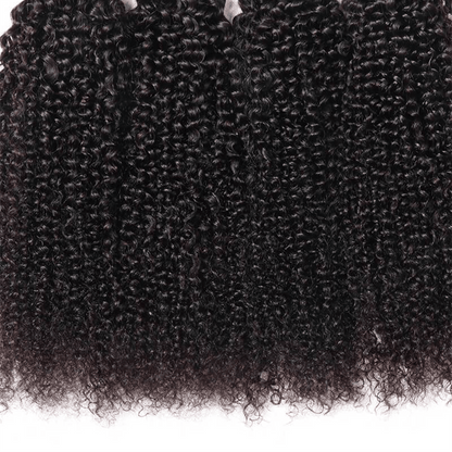 Remy Forte Kinky Curly Hair Bundles With Closure 4 Bundles With 4×4 Lace Closure Natural Color